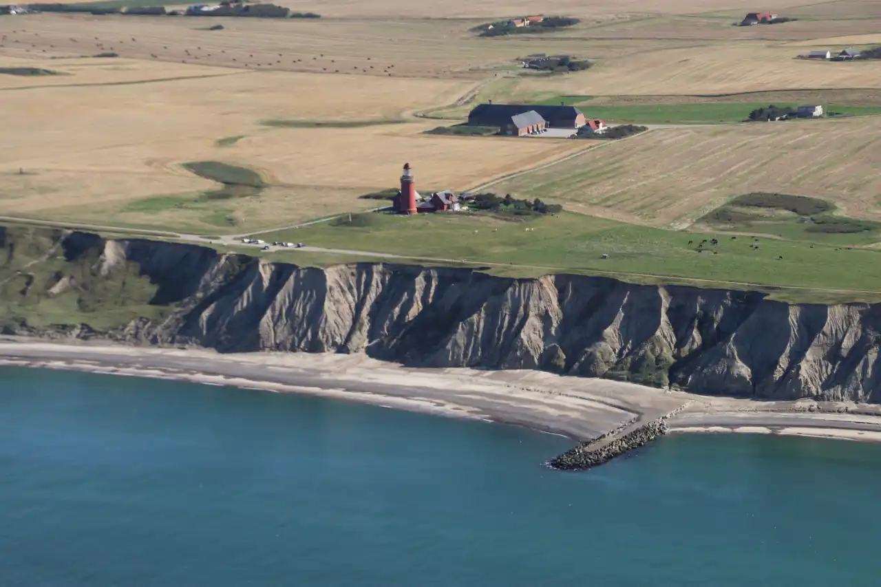 The North Sea family