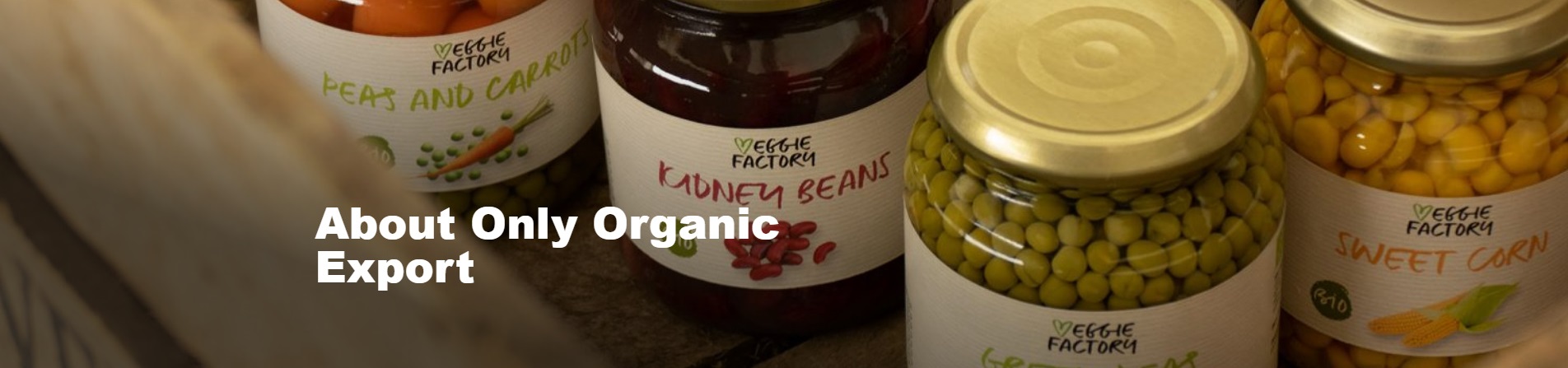 Organic vegetables in jars